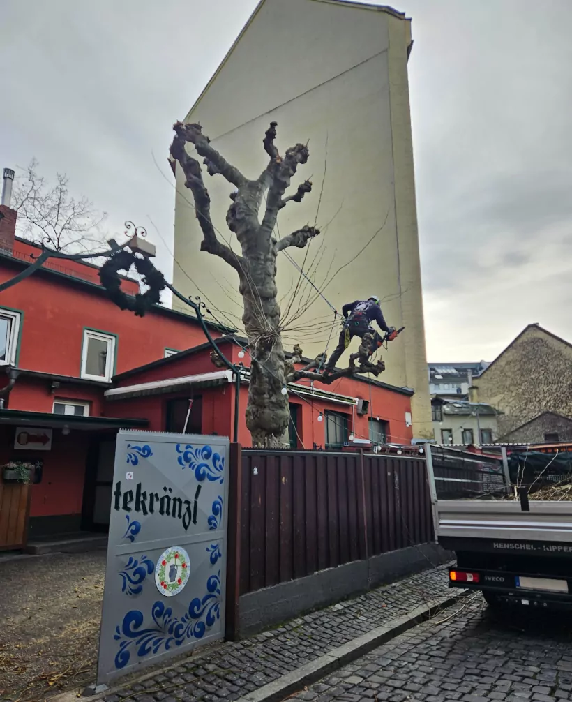 Gartenarbeit